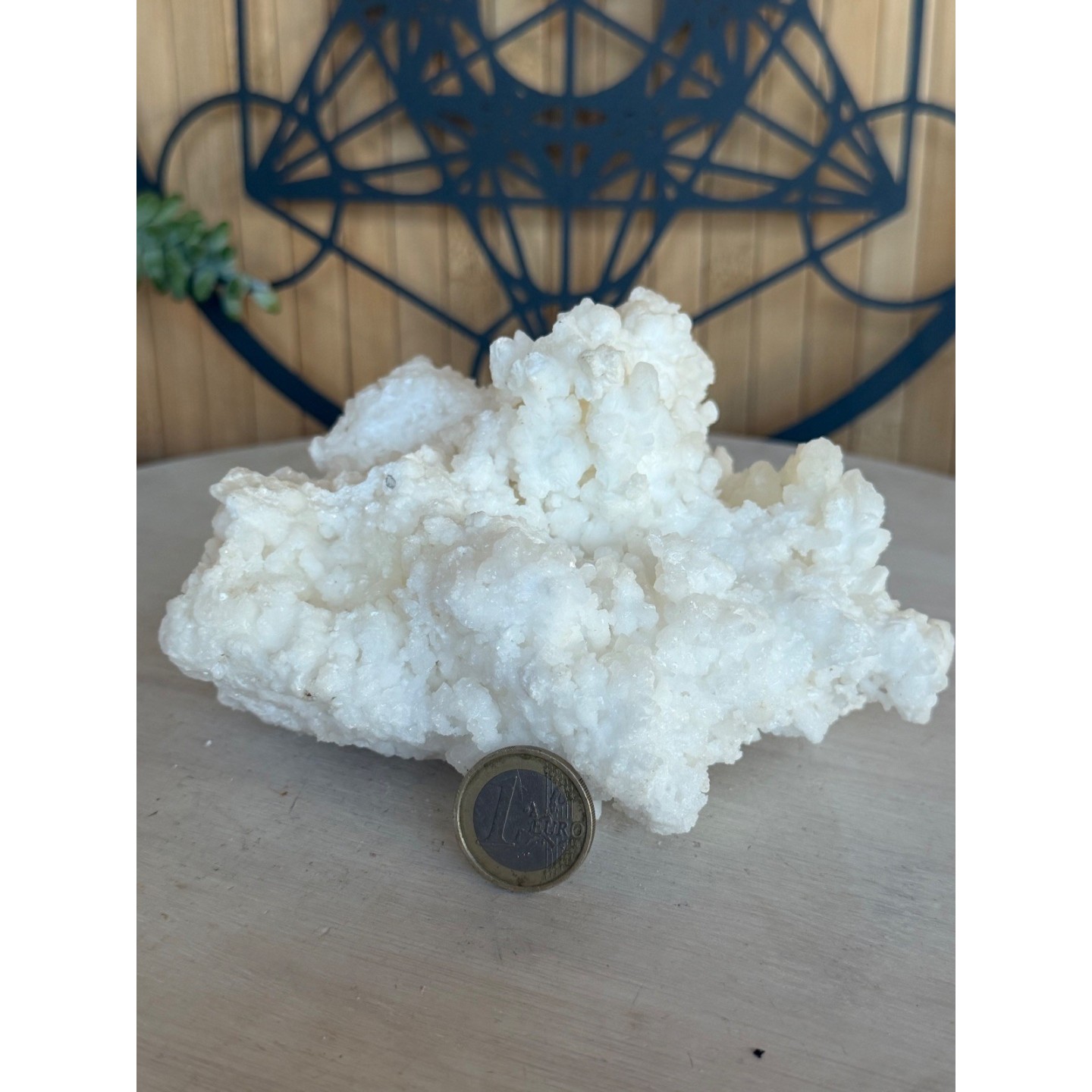 Aragonite blanche (0.745kg)