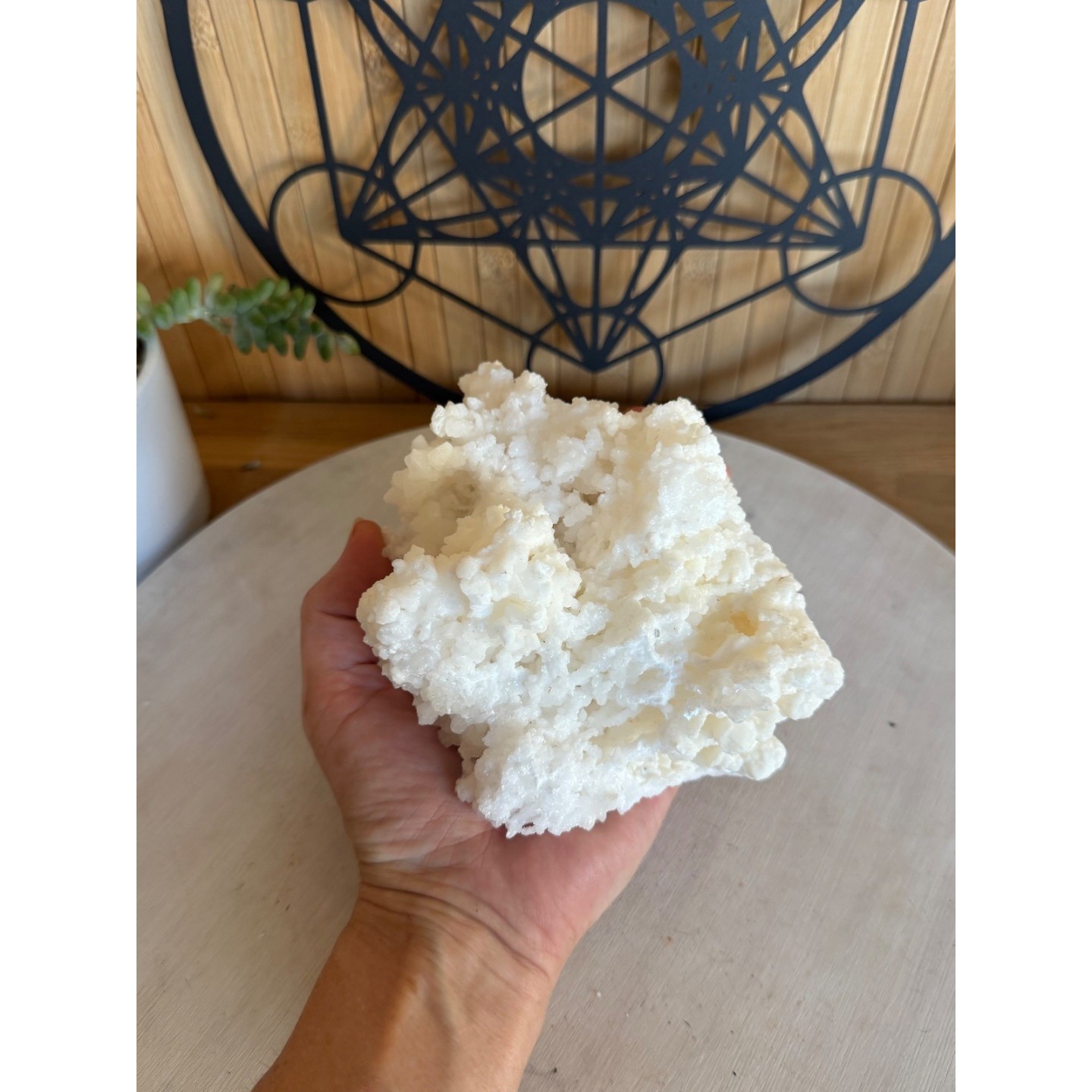 Aragonite blanche (0.745kg)