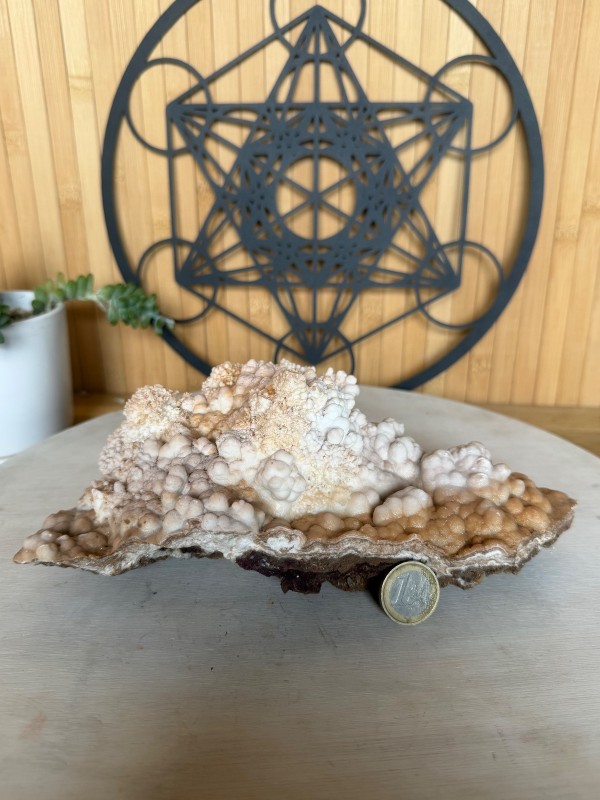Aragonite (1.42kg)