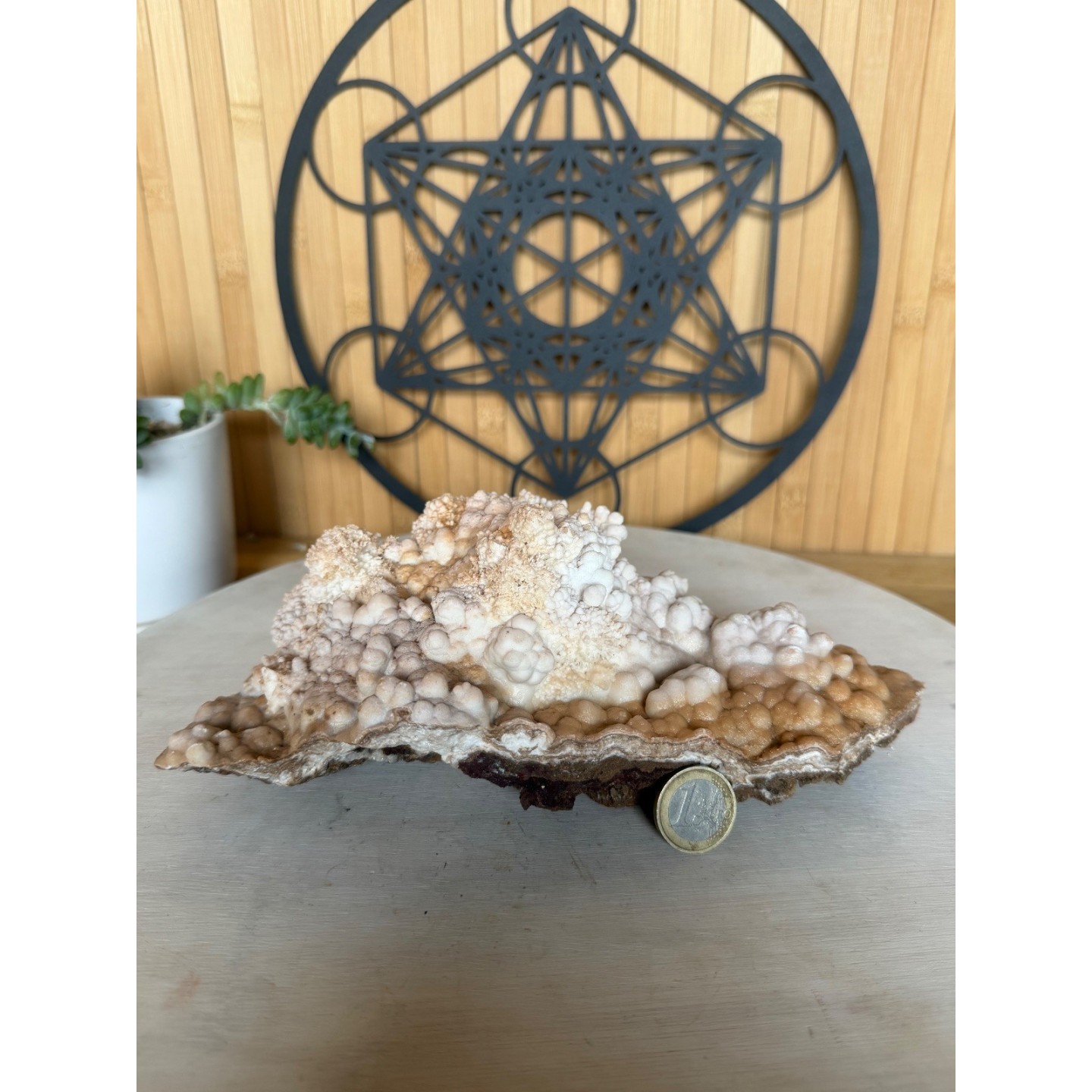 Aragonite (1.42kg)