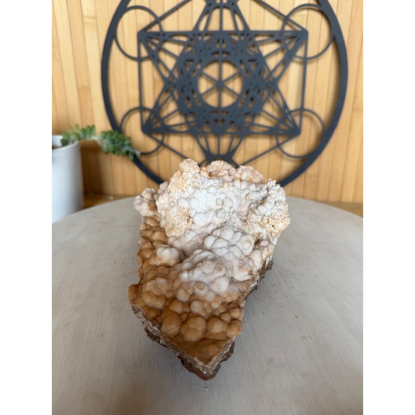 Aragonite (1.42kg)
