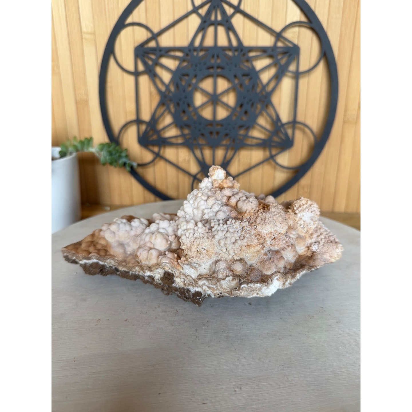 Aragonite (1.42kg)