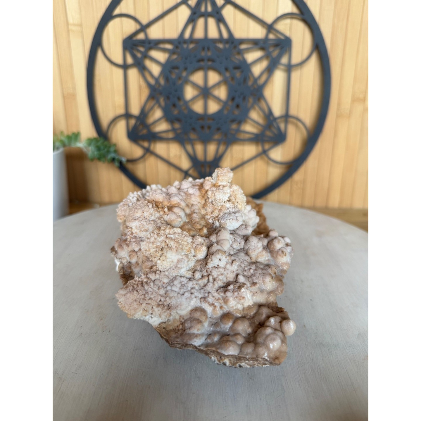 Aragonite (1.42kg)