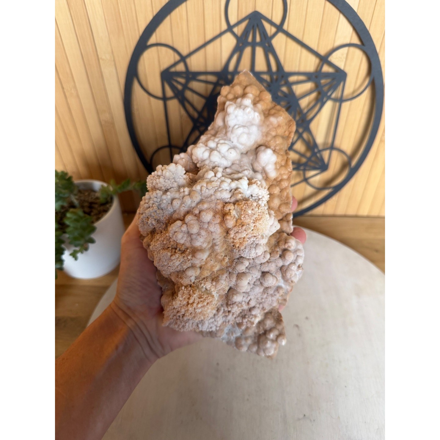 Aragonite (1.42kg)