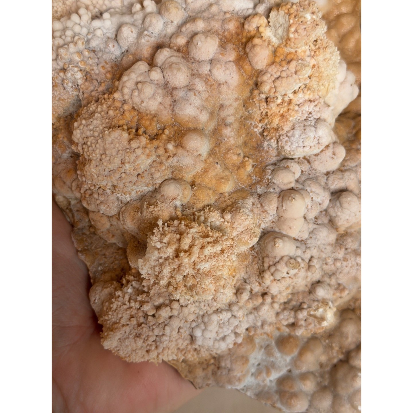 Aragonite (1.42kg)
