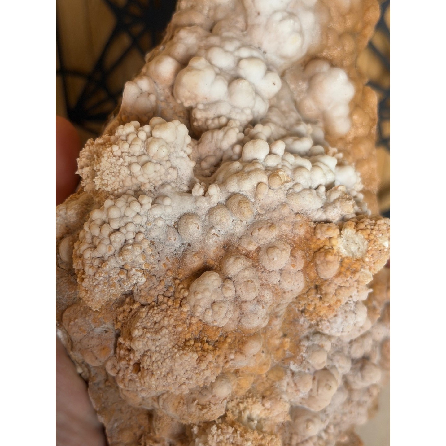 Aragonite (1.42kg)