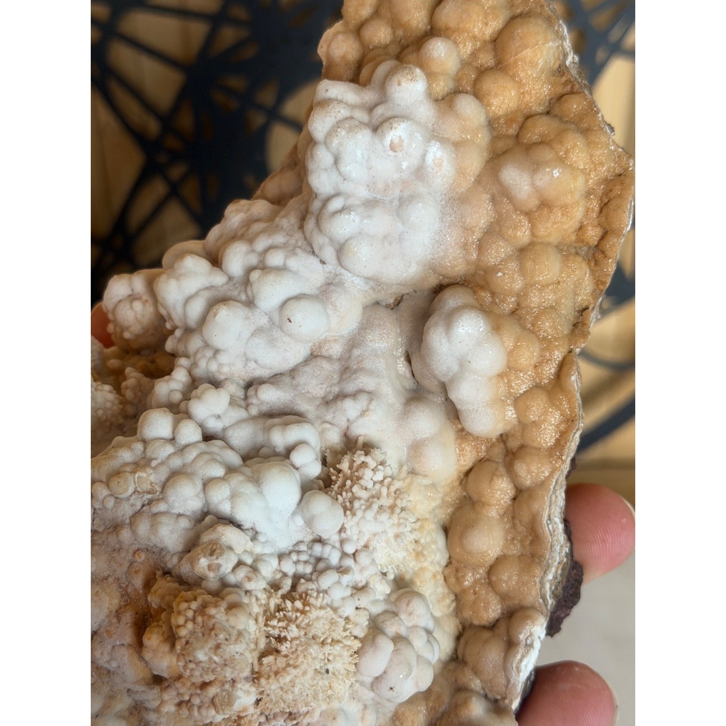 Aragonite (1.42kg)