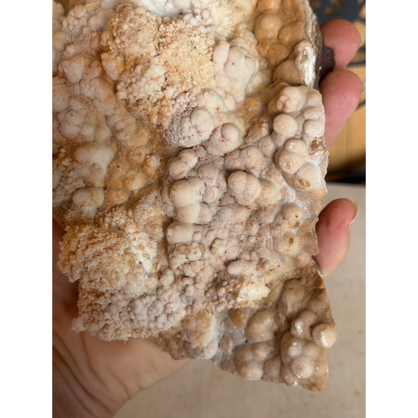 Aragonite (1.42kg)