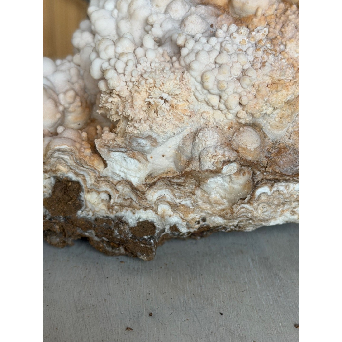 Aragonite (1.42kg)