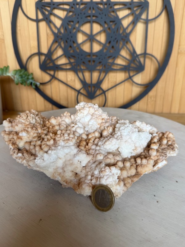 Aragonite (1.205kg)