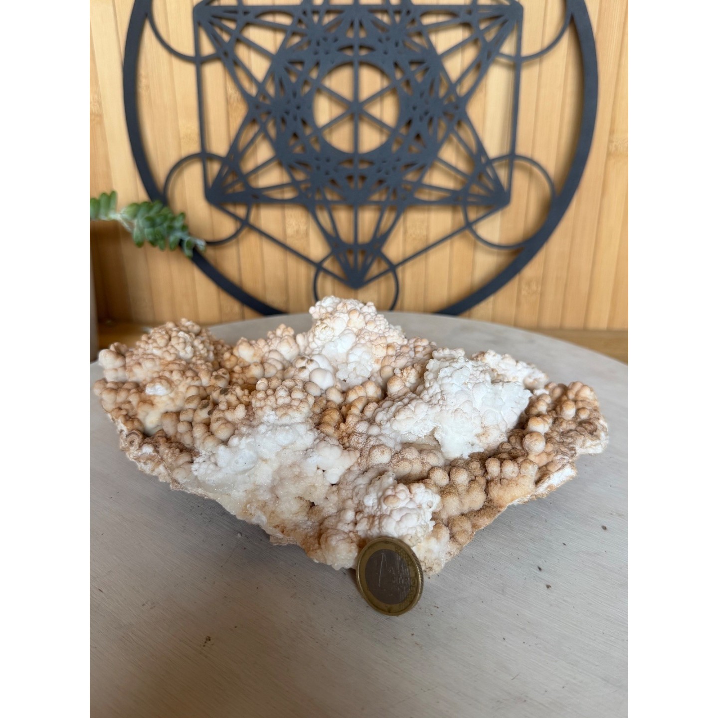 Aragonite (1.205kg)