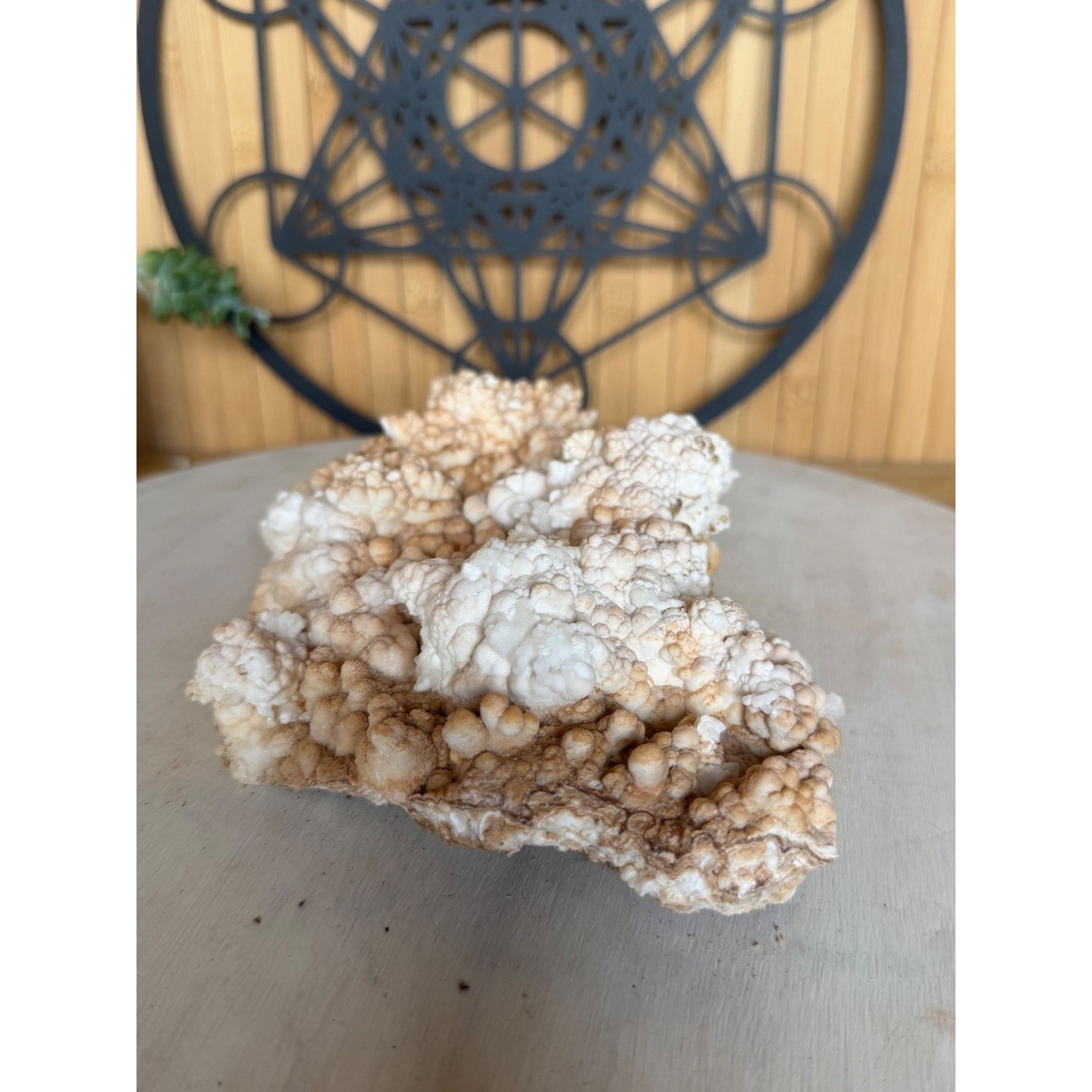 Aragonite (1.205kg)