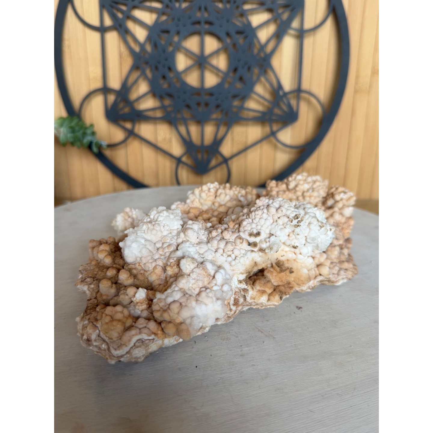 Aragonite (1.205kg)