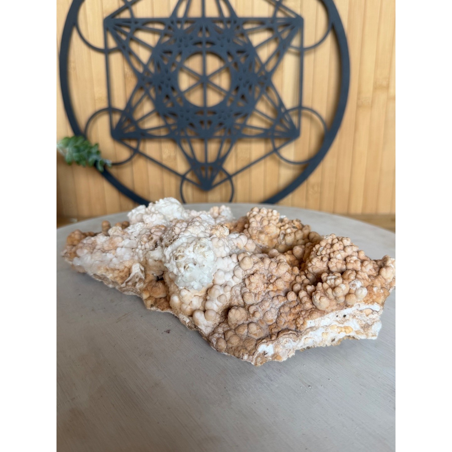 Aragonite (1.205kg)