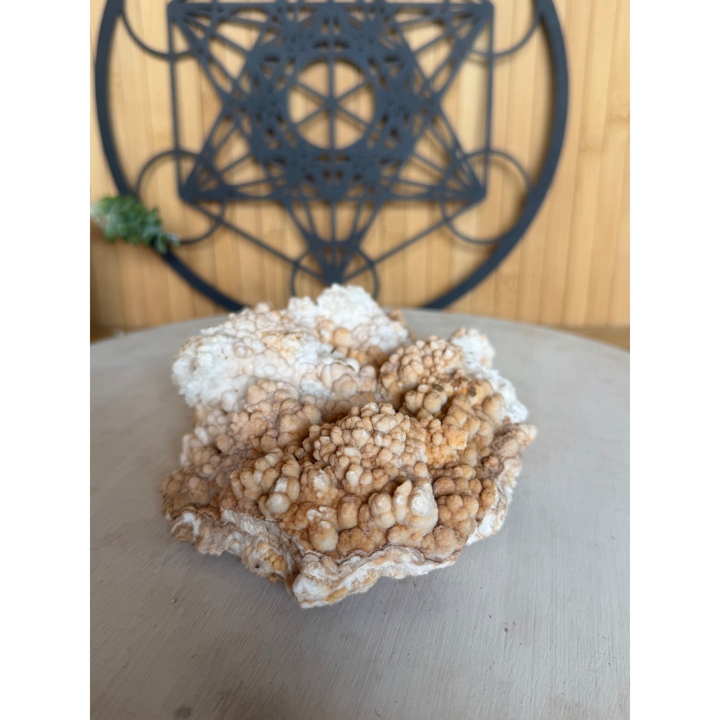 Aragonite (1.205kg)