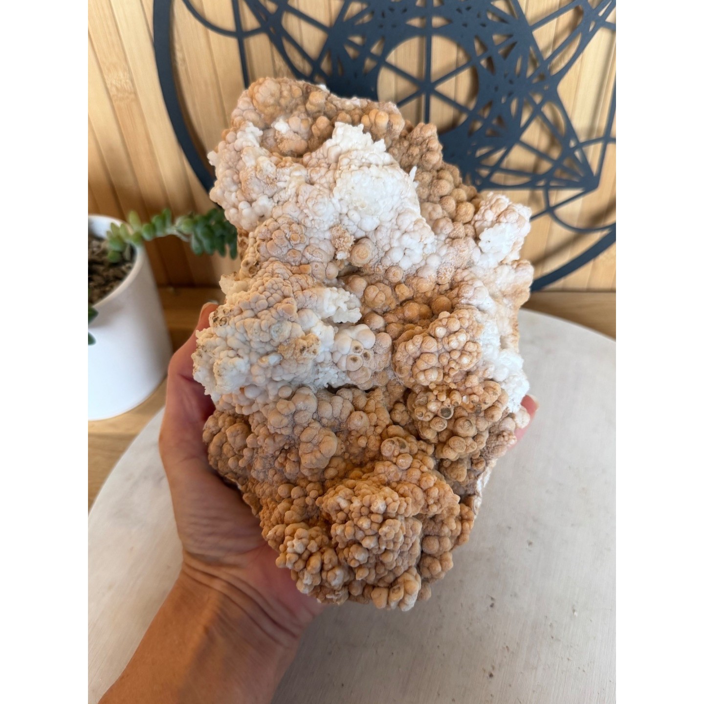 Aragonite (1.205kg)