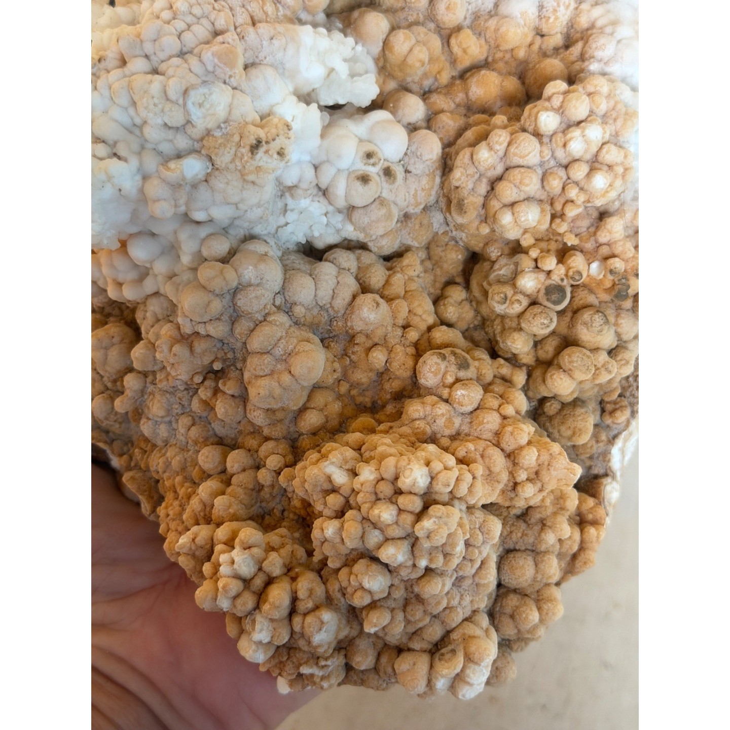 Aragonite (1.205kg)