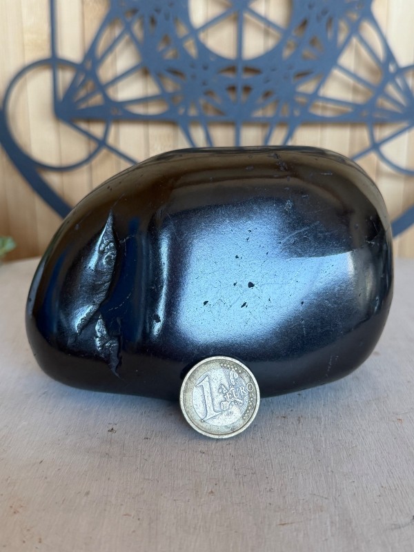 Galet de Shungite (0.805kg)