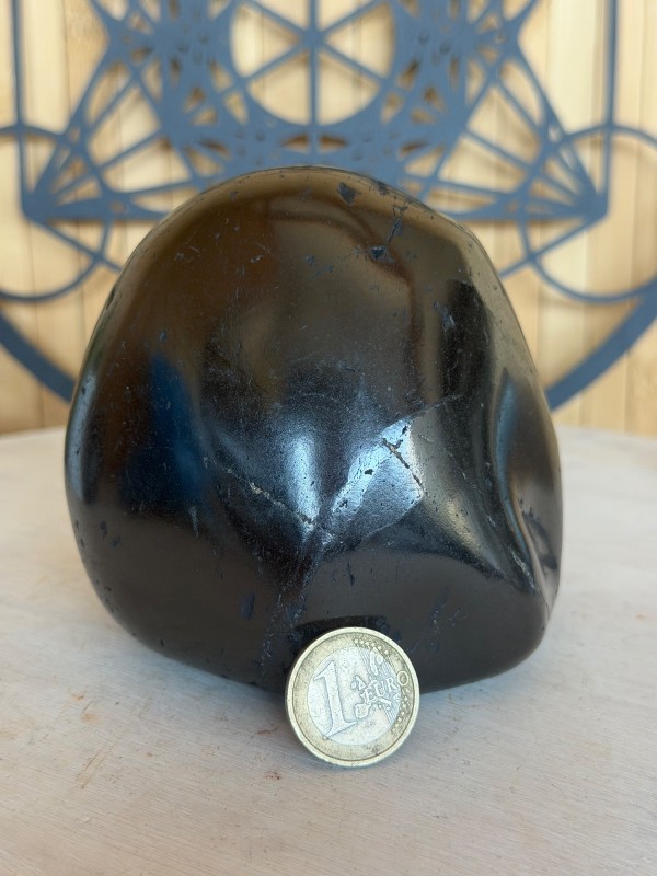 Galet de Shungite (1.05kg)