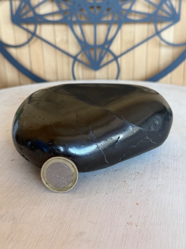 Galet en Shungite (0.685kg)