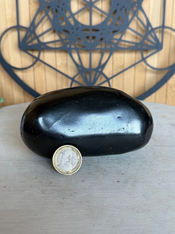 Galet en Shungite (0.57kg)