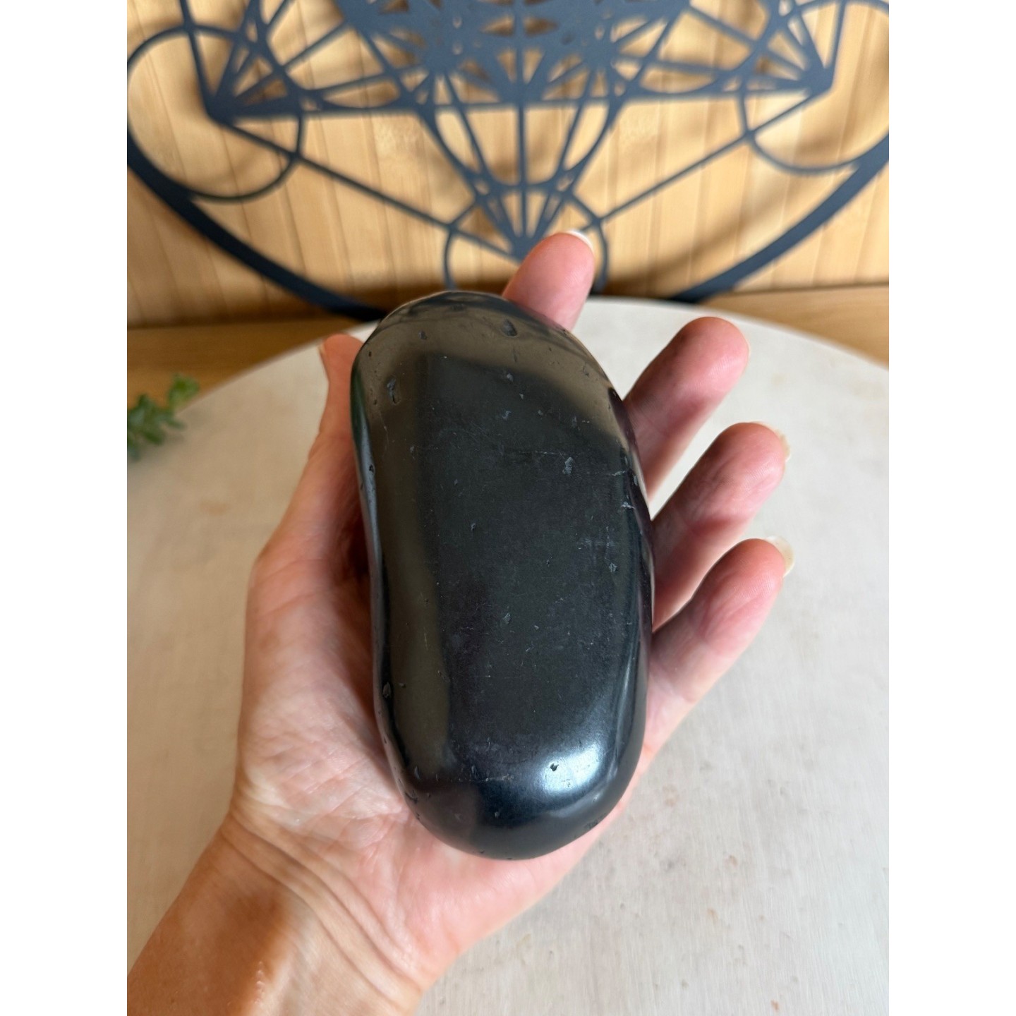 Galet en Shungite (0.57kg)