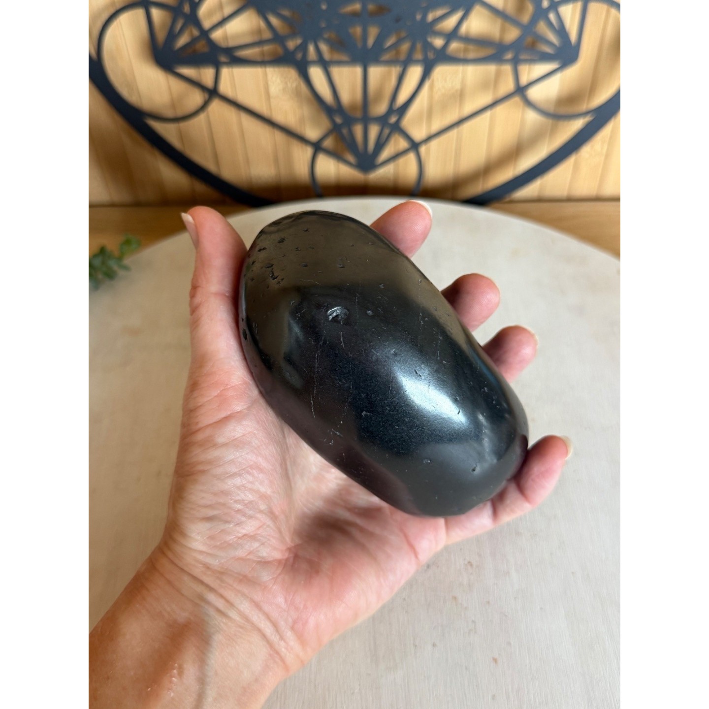 Galet en Shungite (0.57kg)