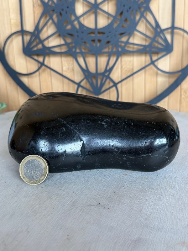 Galet en Shungite (0.885kg)