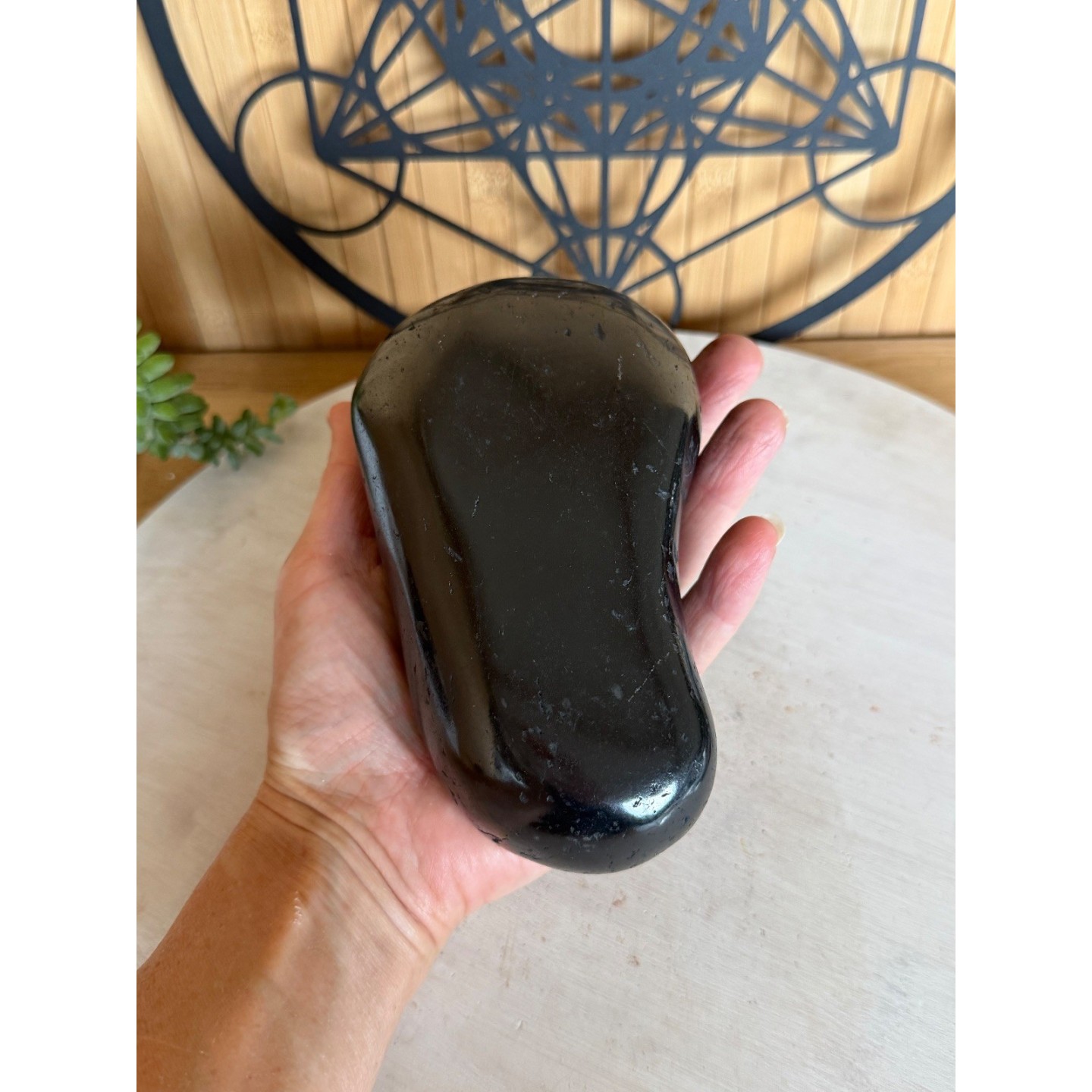 Galet en Shungite (0.885kg)