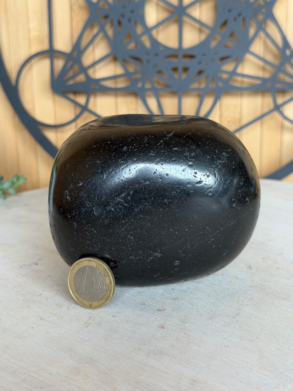 Galet de Shungite (0.91kg)