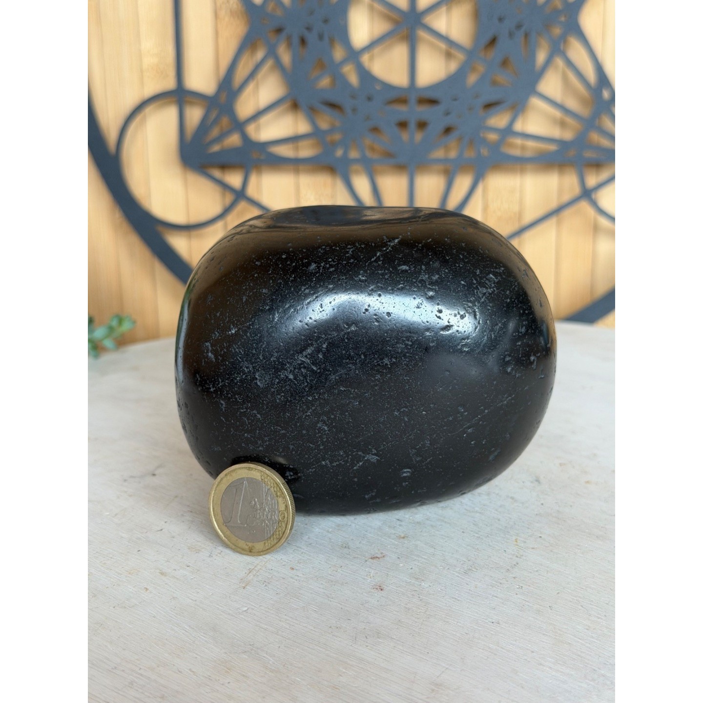 Galet de Shungite (0.91kg)