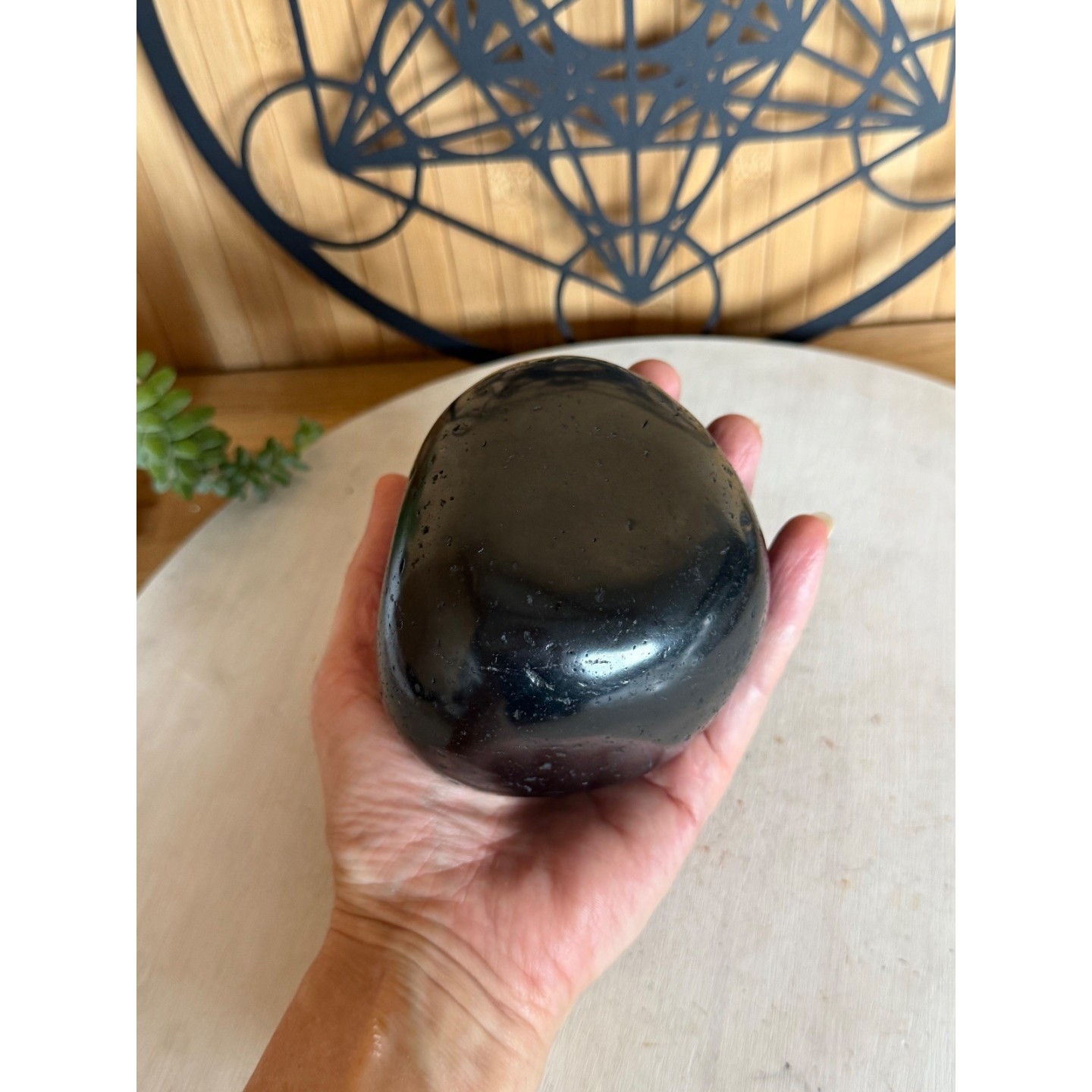 Galet de Shungite (0.91kg)