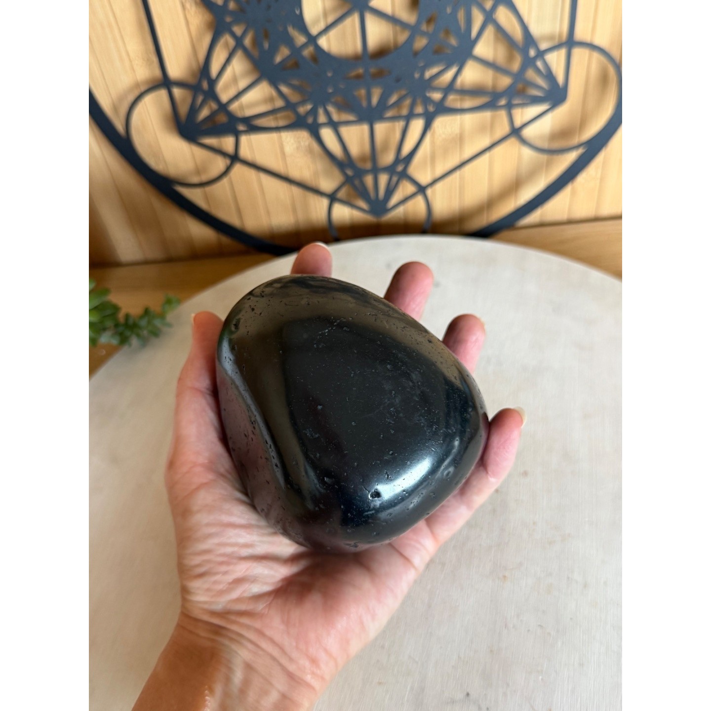 Galet de Shungite (0.91kg)