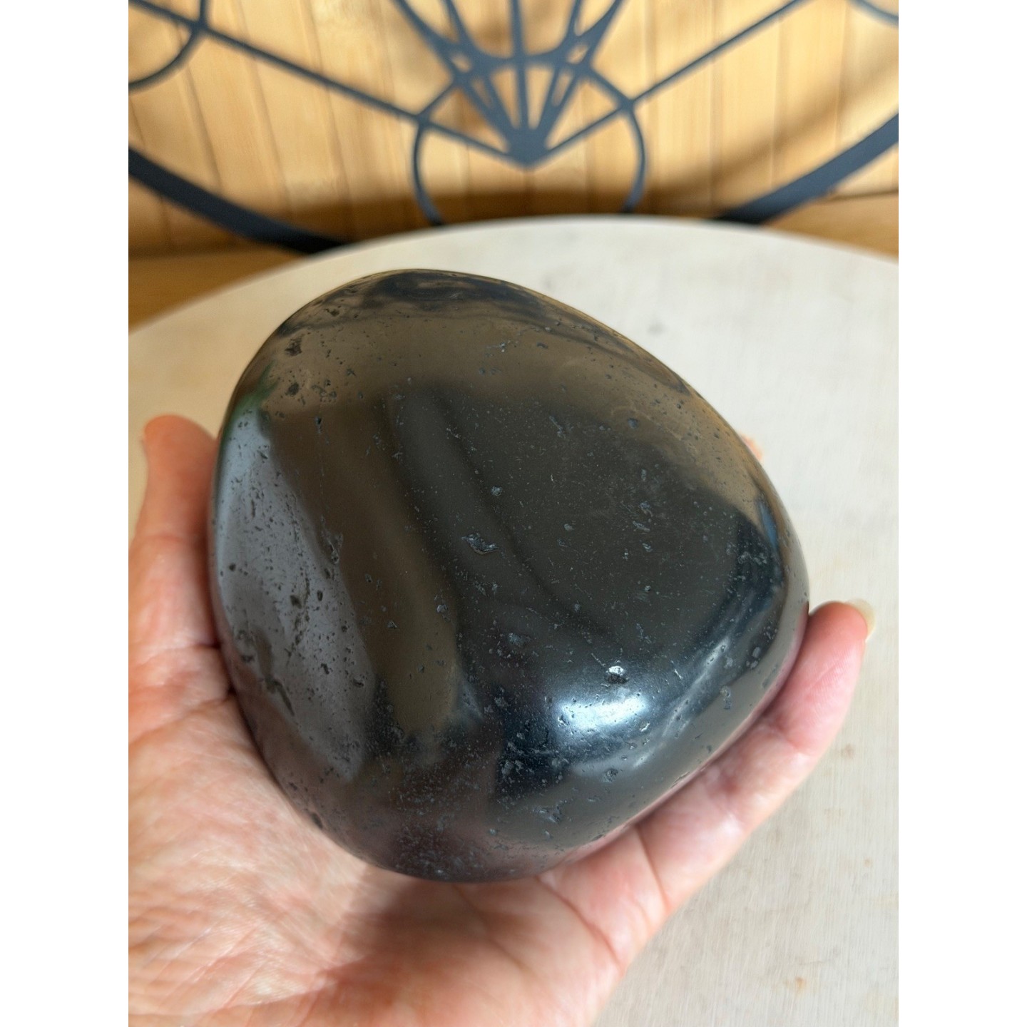 Galet de Shungite (0.91kg)