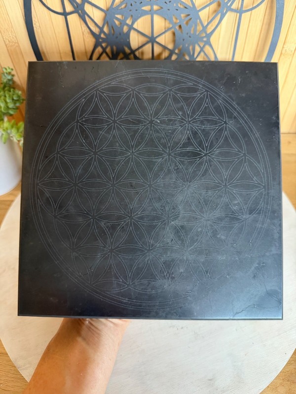 Plaque de Shungite (2.88kg)