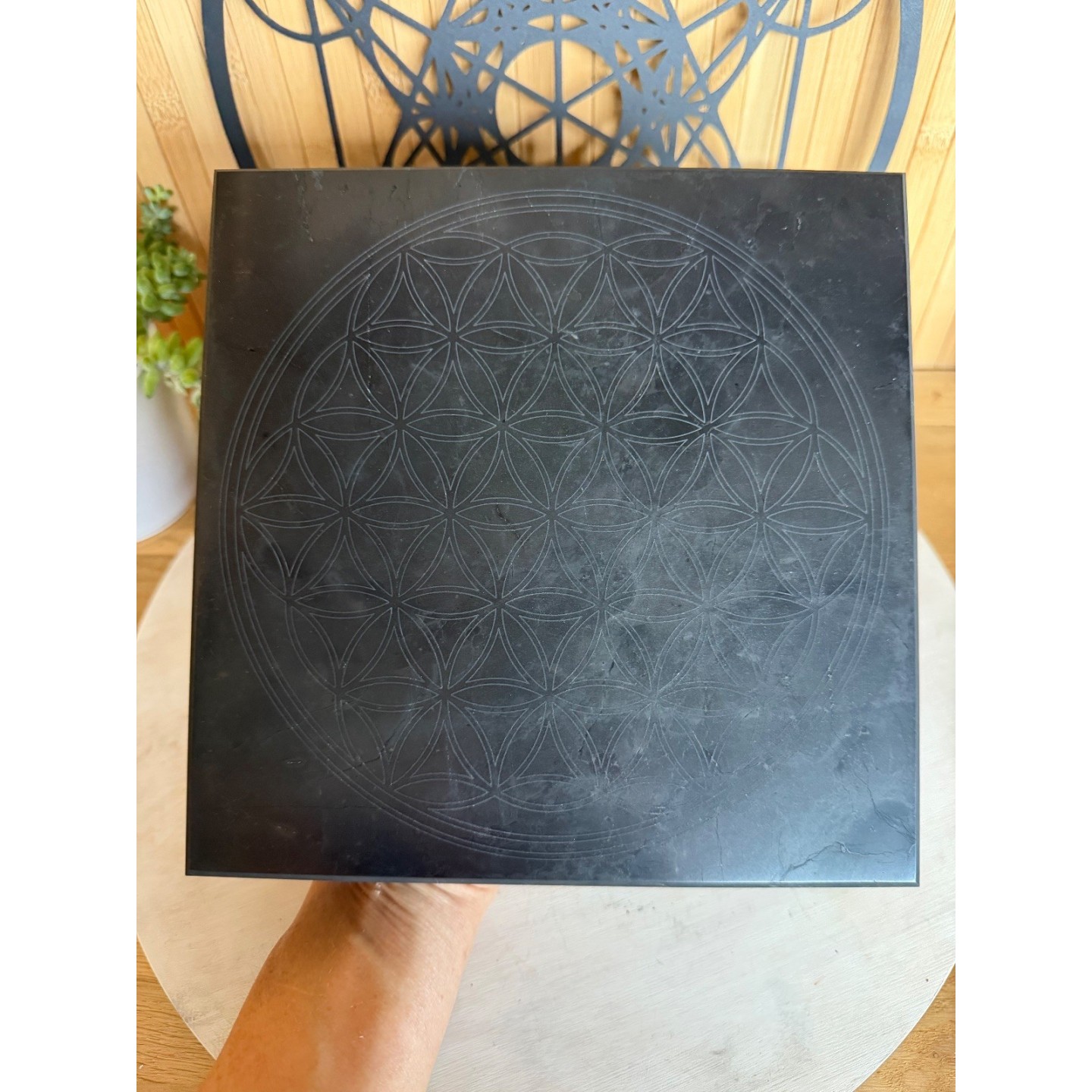 Plaque de Shungite (2.88kg)