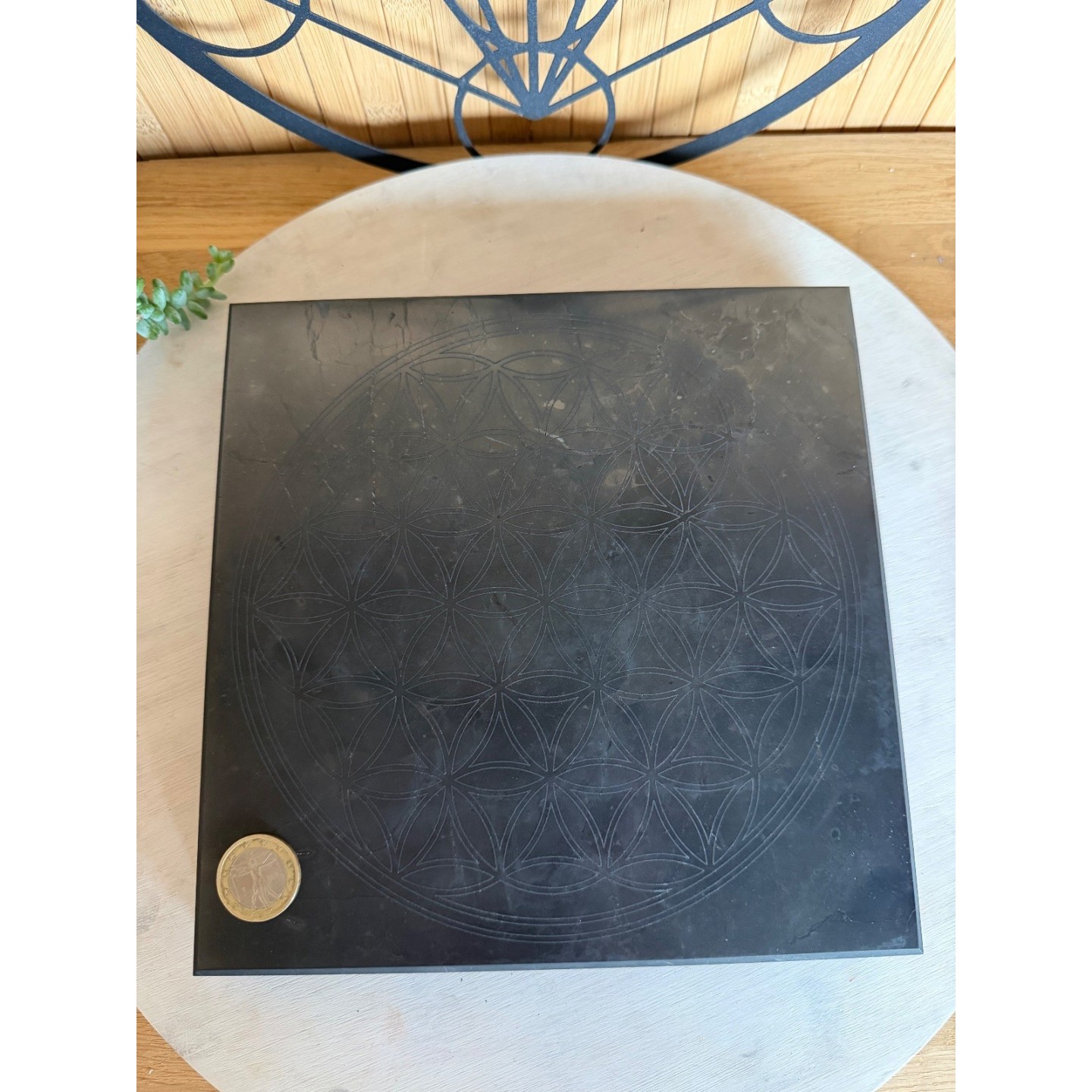 Plaque de Shungite (2.88kg)
