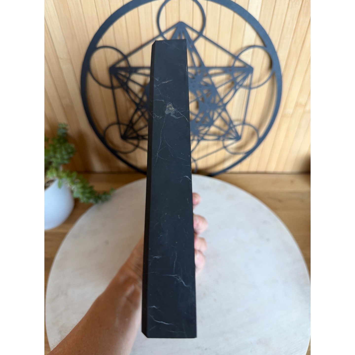 Plaque de Shungite (2.88kg)