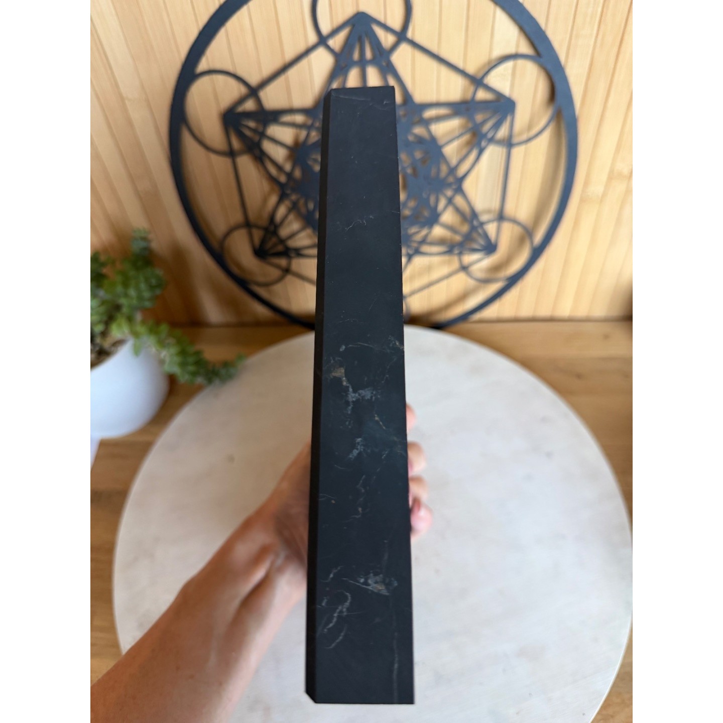 Plaque de Shungite (2.88kg)