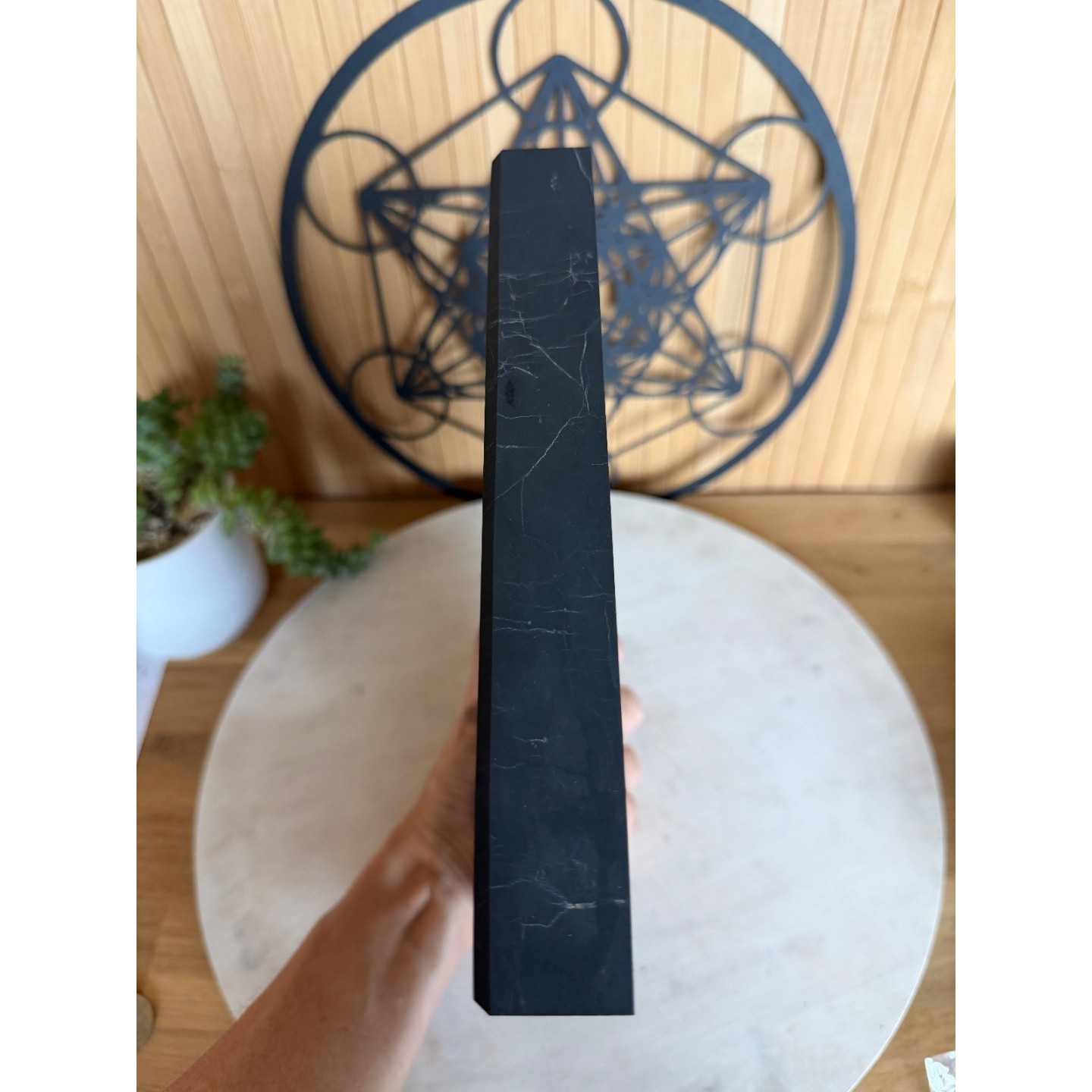 Plaque de Shungite (2.88kg)