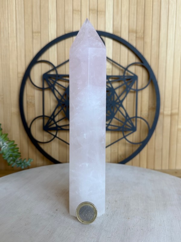 Pointe de quartz rose (0.665kg)