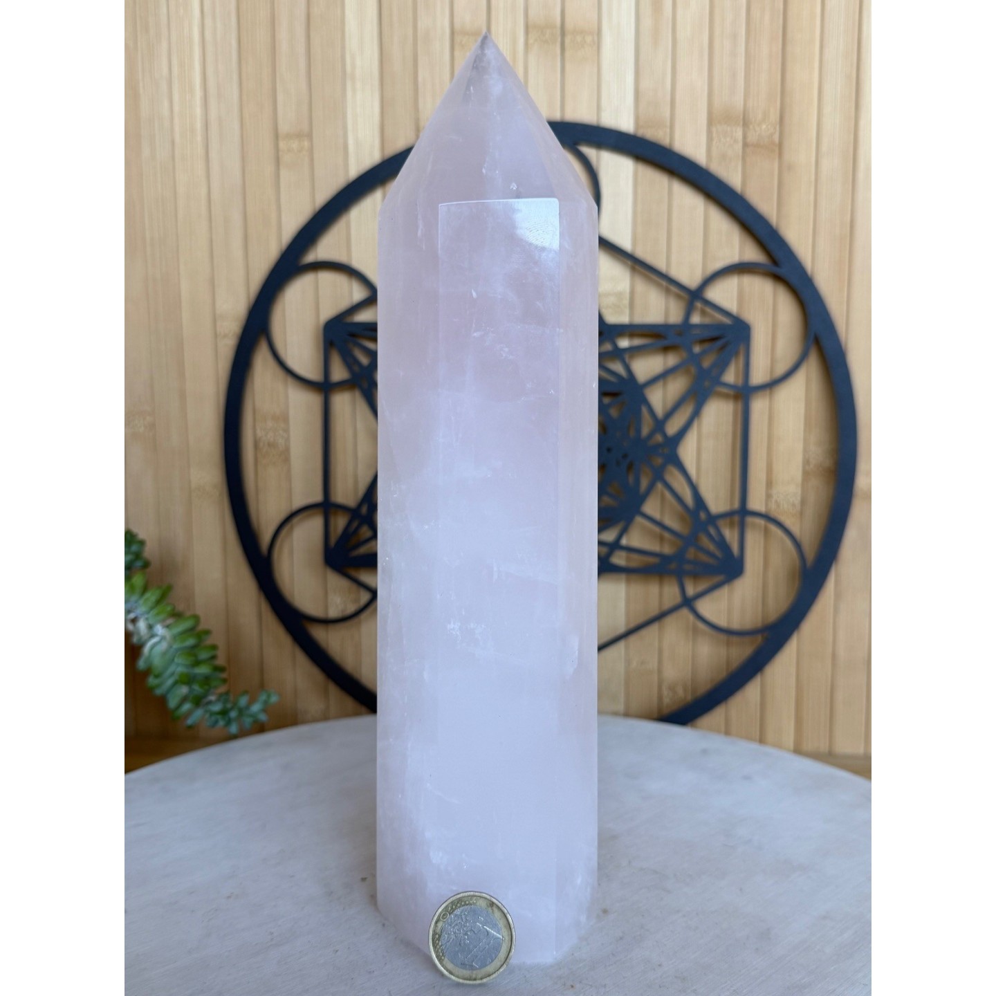 Pointe de quartz rose (1.41kg)