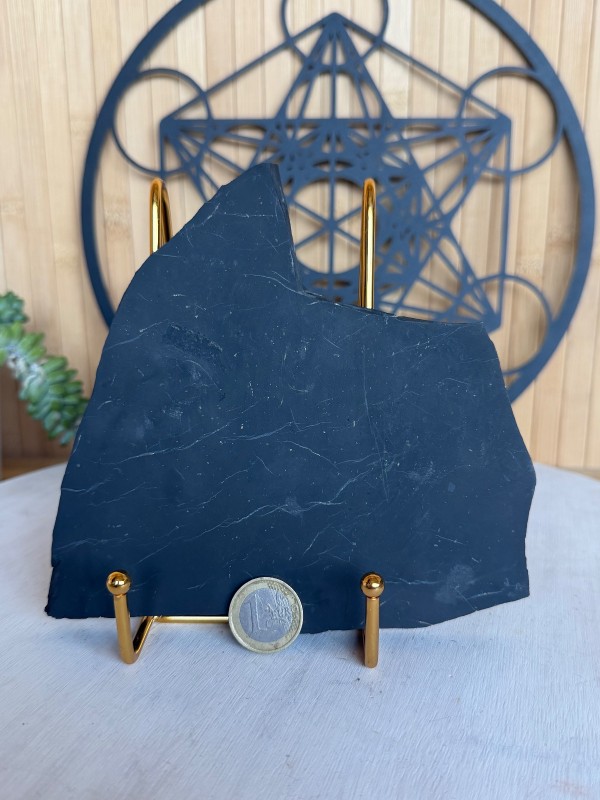 Shungite (0.435kg)
