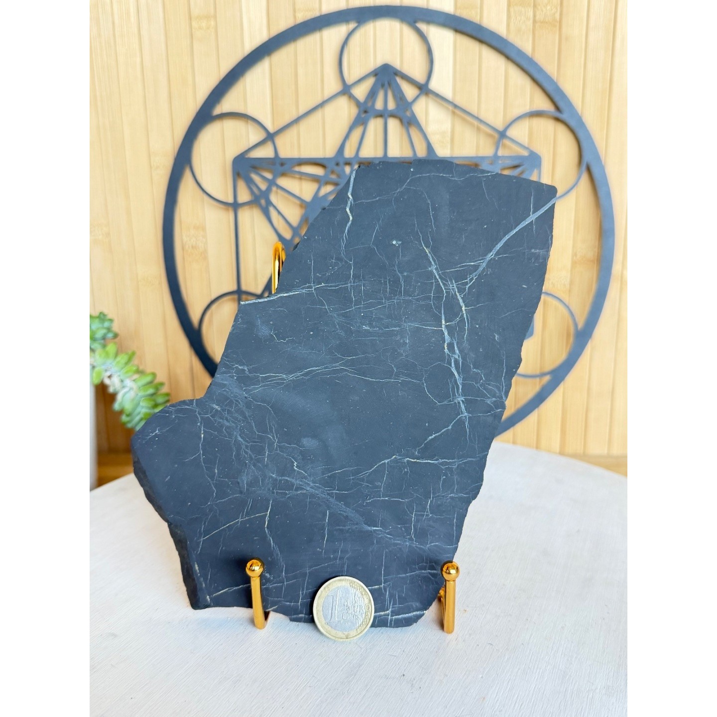 Shungite (0.565kg)