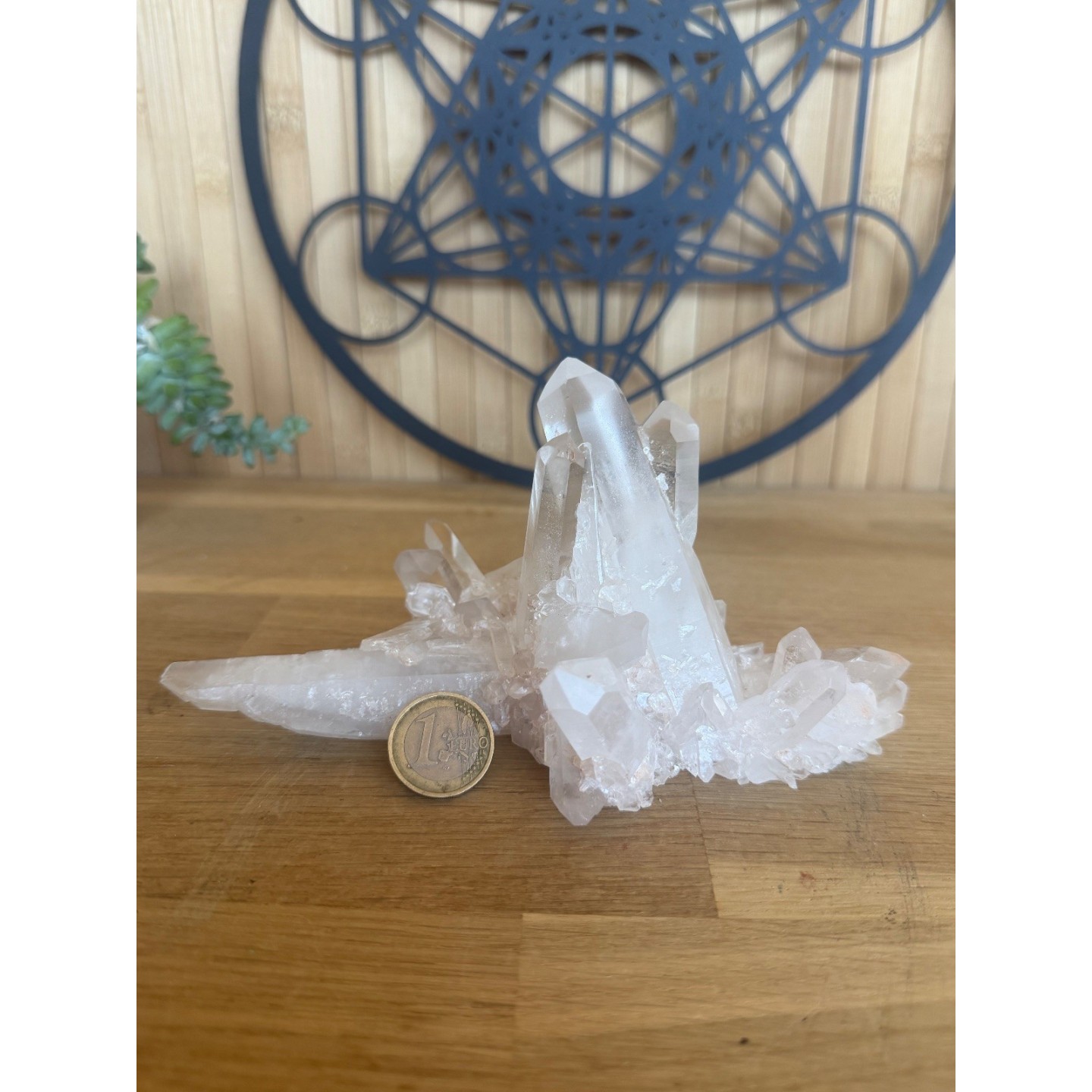 Cristal de roche (0.39kg)