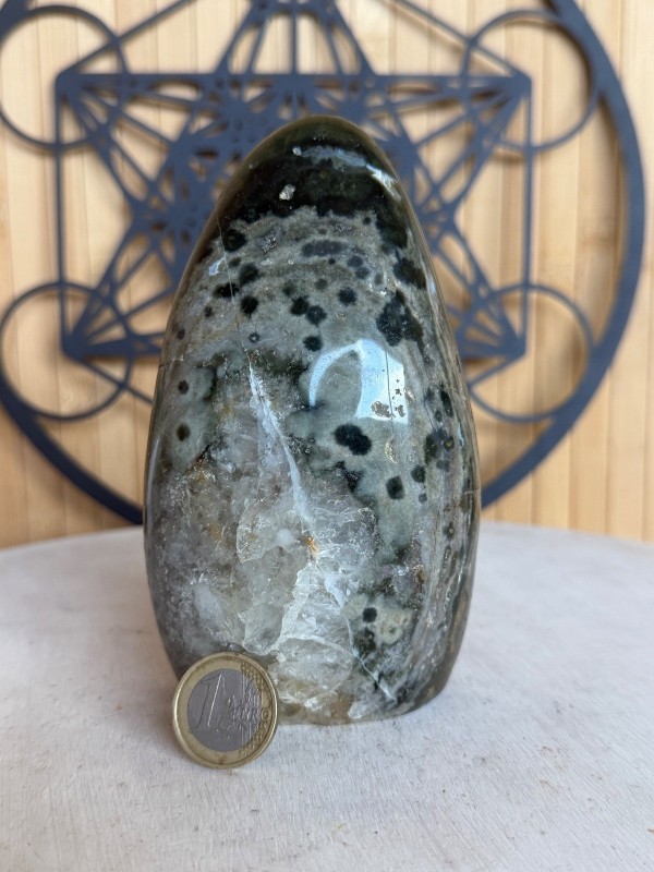Jaspe orbiculaire (0.7kg)