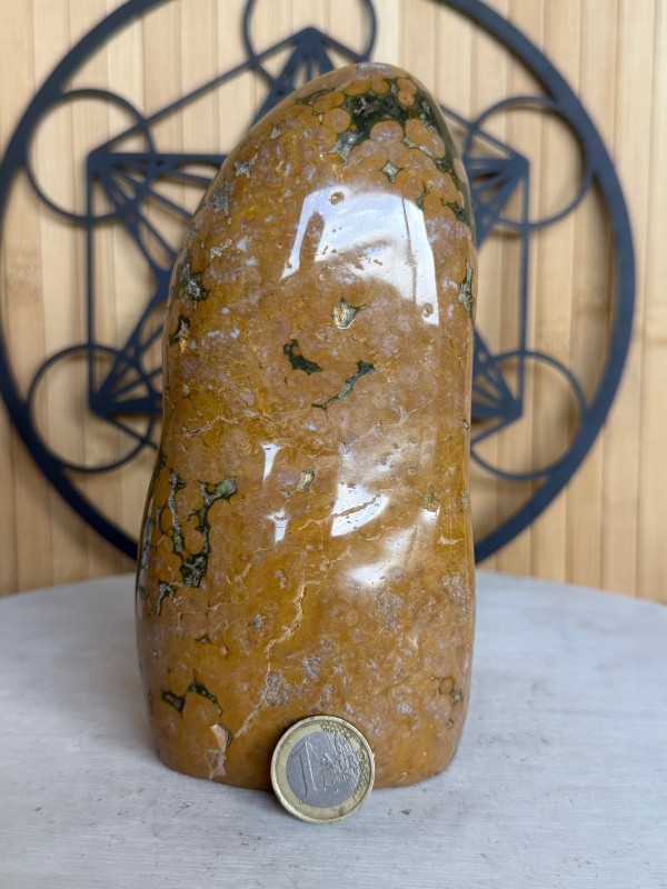 Jaspe orbiculaire (1.365kg)