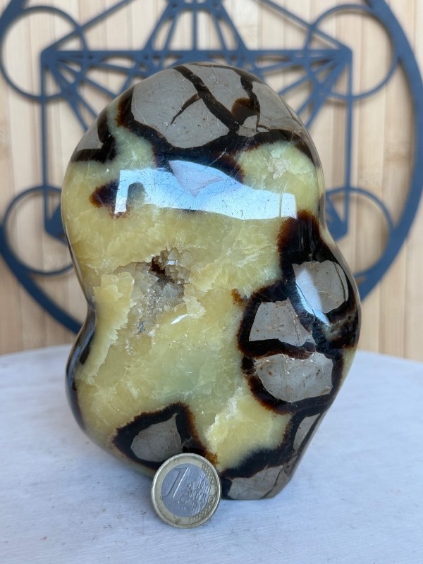 Septaria (1.43kg)