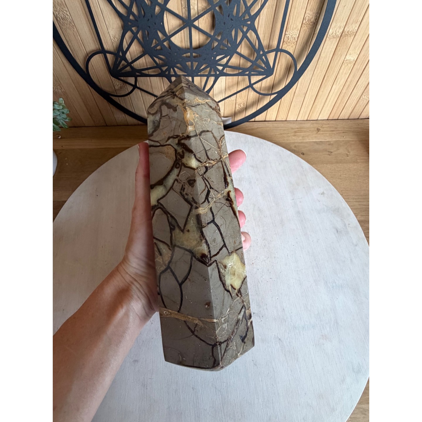 Septaria (1.73kg)