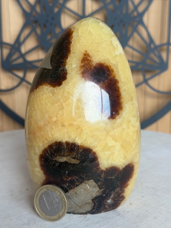 Septaria (0.85kg)
